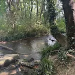 Dans Ancien Moulin Tatil Evi Bellegarde (Gard)