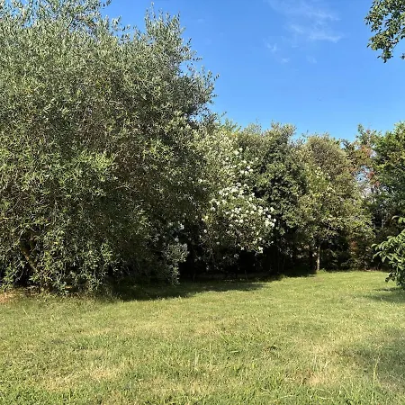 Casa vacanze Dans Ancien Moulin *